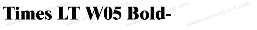 Times LT W05 Bold字体转换